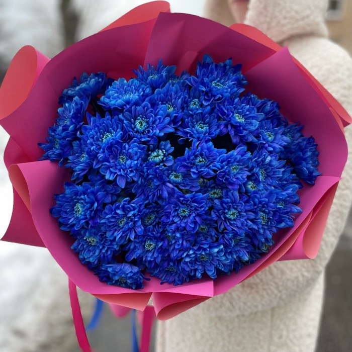 Букет из 11 синих кустовых хризантем