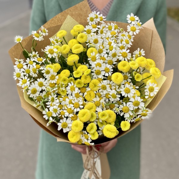 Ромашковый дуэт