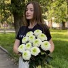 Хризантема бело-зеленая Помпон