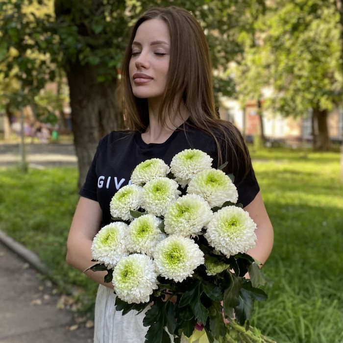 Хризантема бело-зеленая Помпон