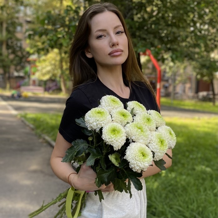 Хризантема бело-зеленая Помпон