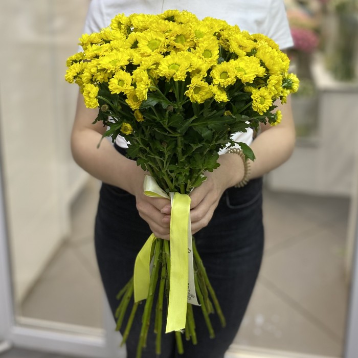Хризантема Сантини желтая