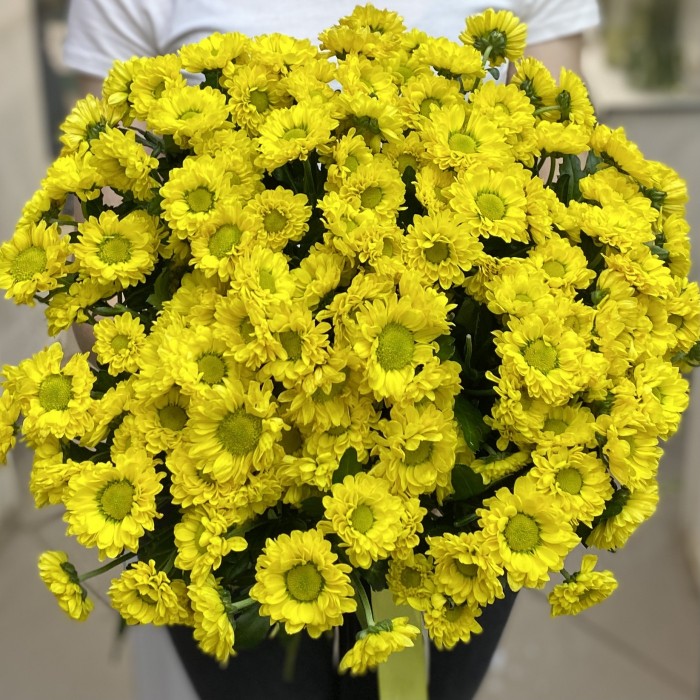 Хризантема Сантини желтая