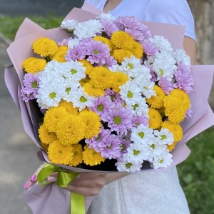 15 хризантем Сантини Летний микс