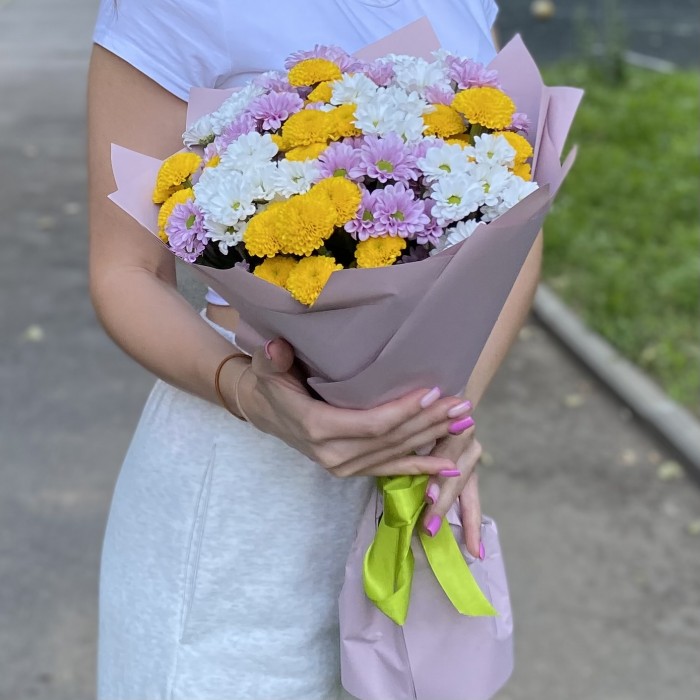 15 хризантем Сантини Летний микс