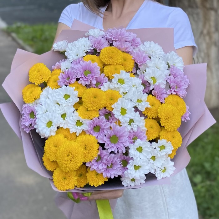 15 хризантем Сантини Летний микс