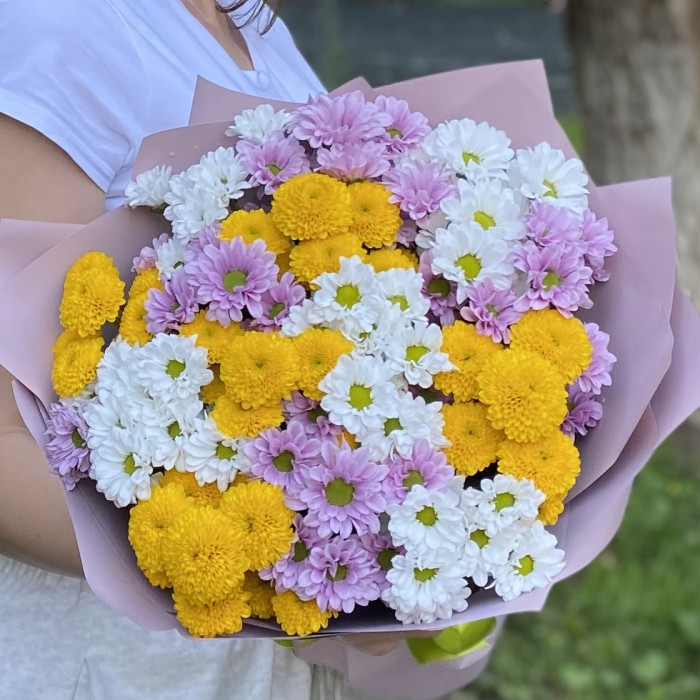 15 хризантем Сантини Летний микс