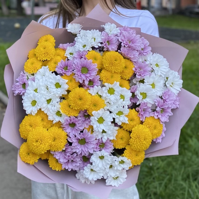 15 хризантем Сантини Летний микс