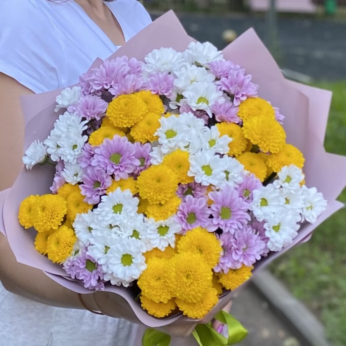 15 хризантем Сантини Летний микс