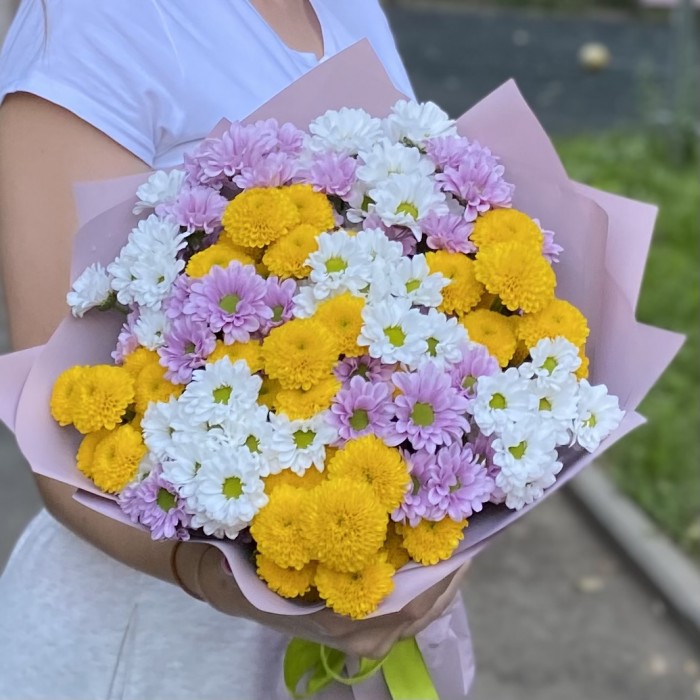 15 хризантем Сантини Летний микс