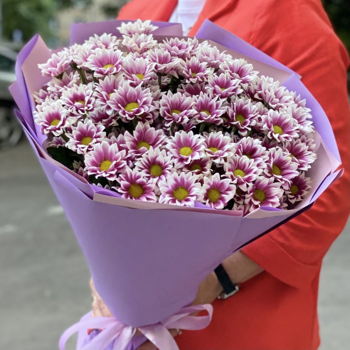 15 кустовых хризантем Хайдар пинк