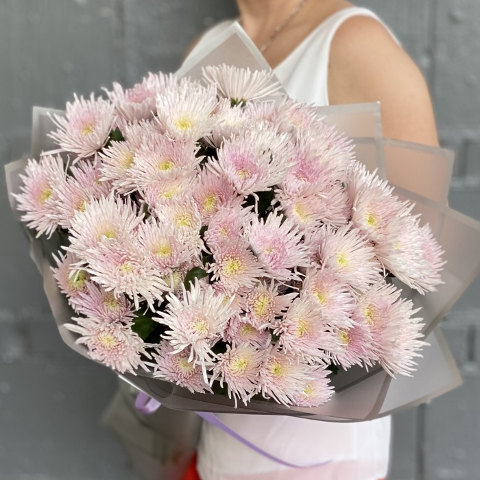 15 розовых кустовых игольчатых хризантем Каприоль