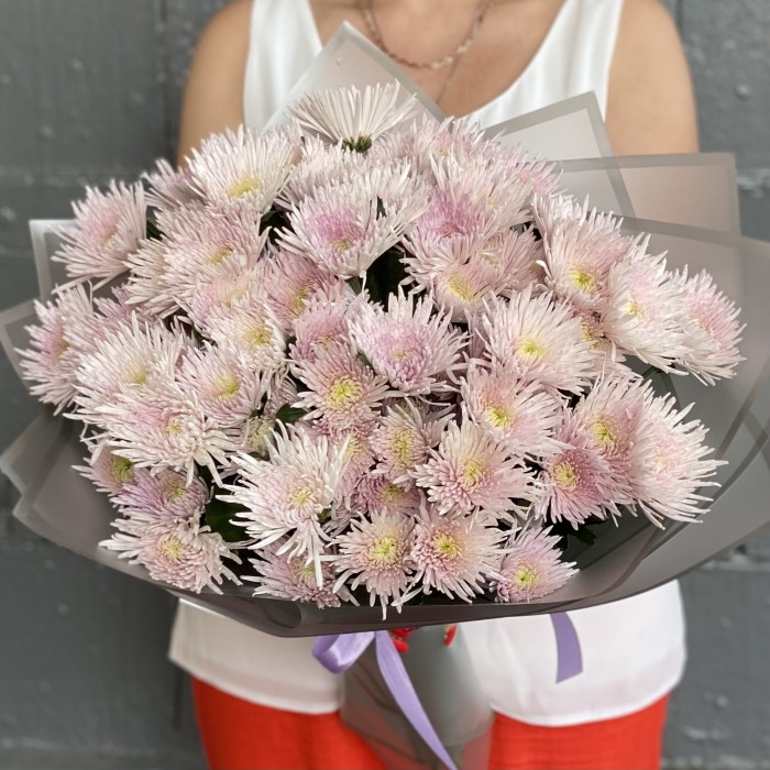 15 розовых кустовых игольчатых хризантем Каприоль