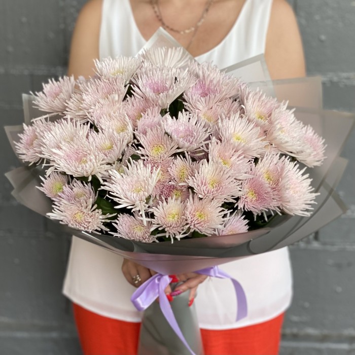 15 розовых кустовых игольчатых хризантем Каприоль