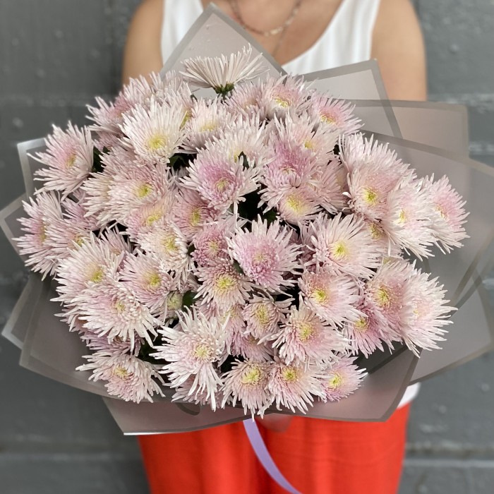 15 розовых кустовых игольчатых хризантем Каприоль