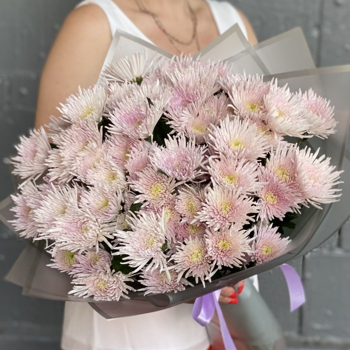 15 розовых кустовых игольчатых хризантем Каприоль