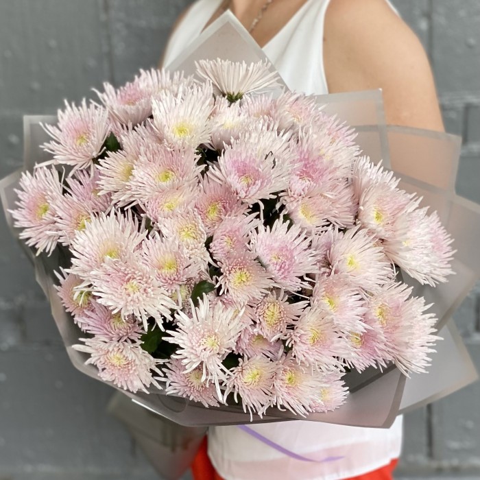 15 розовых кустовых игольчатых хризантем Каприоль