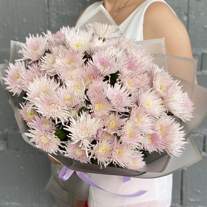 15 розовых кустовых игольчатых хризантем Каприоль
