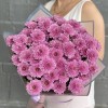 15 сиреневых кустовых хризантем Фабиен