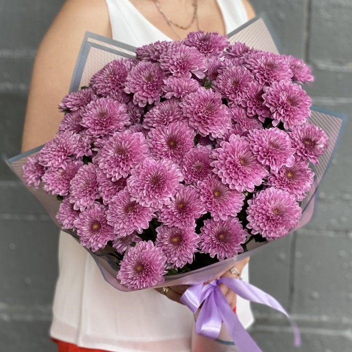 15 сиреневых кустовых хризантем Фабиен