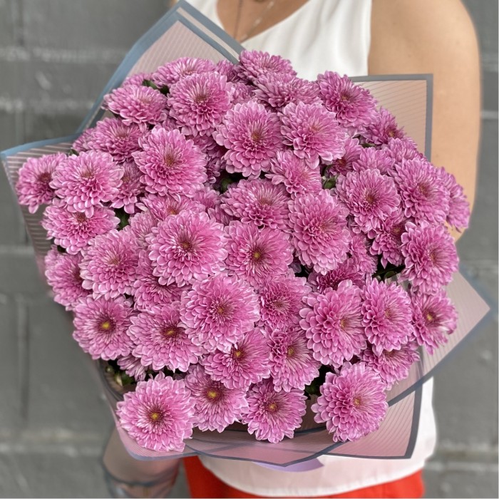 15 сиреневых кустовых хризантем Фабиен