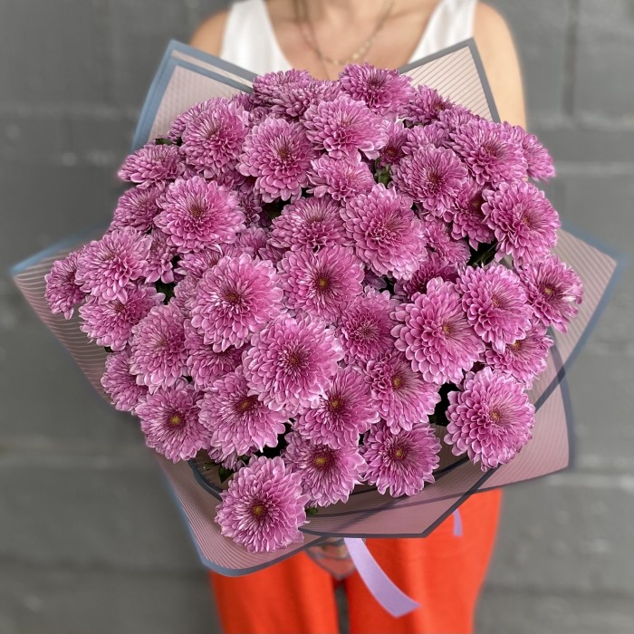 15 сиреневых кустовых хризантем Фабиен