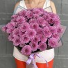 15 сиреневых кустовых хризантем Фабиен
