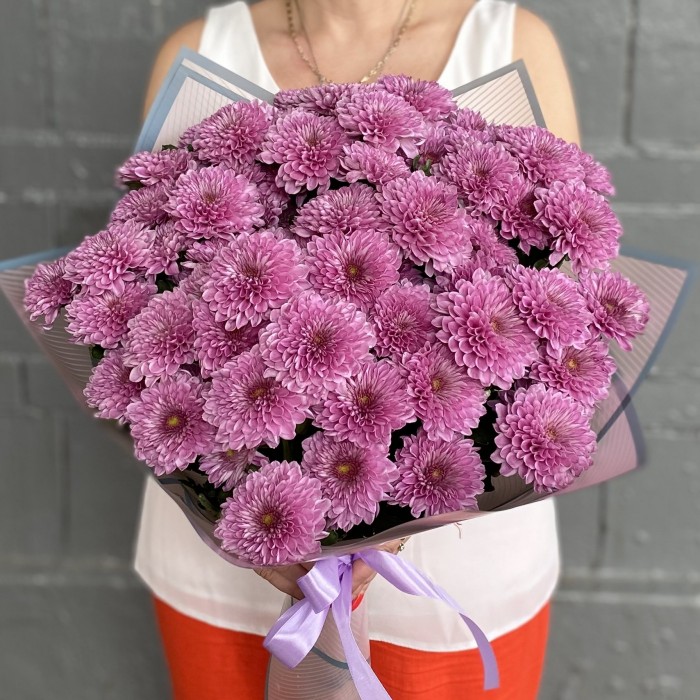 15 сиреневых кустовых хризантем Фабиен