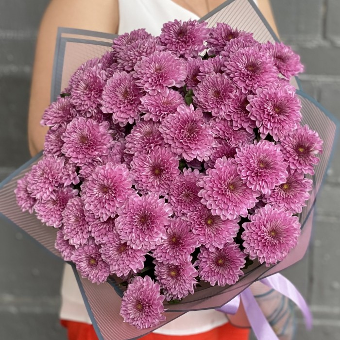 15 сиреневых кустовых хризантем Фабиен
