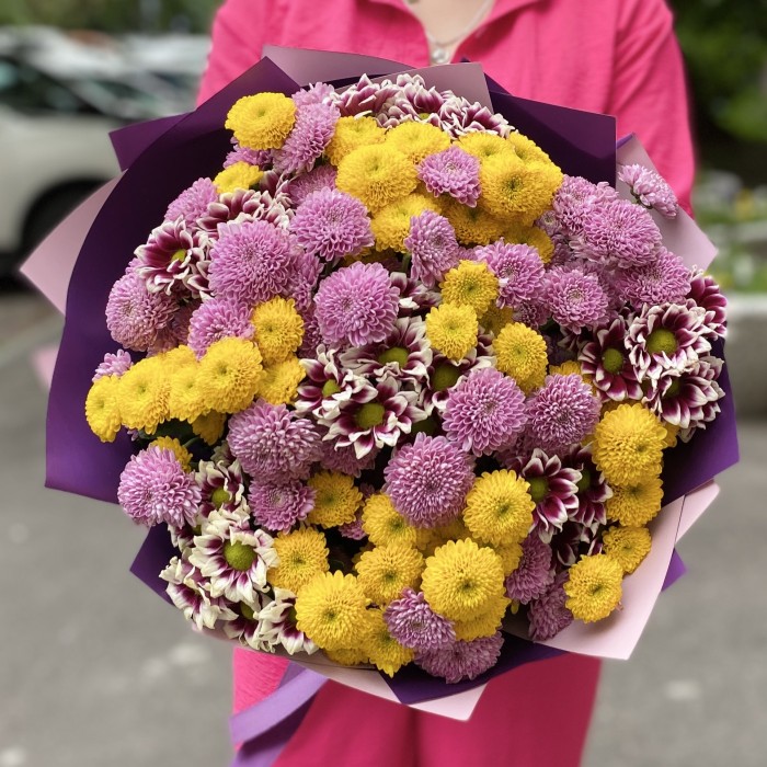31 сиреневая и желтая хризантема Сантини