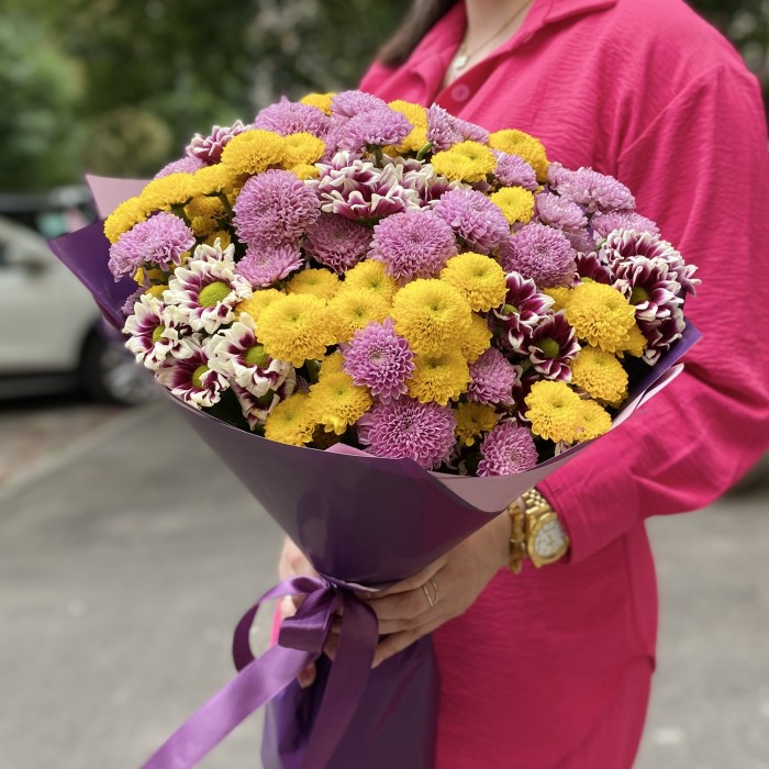 31 сиреневая и желтая хризантема Сантини