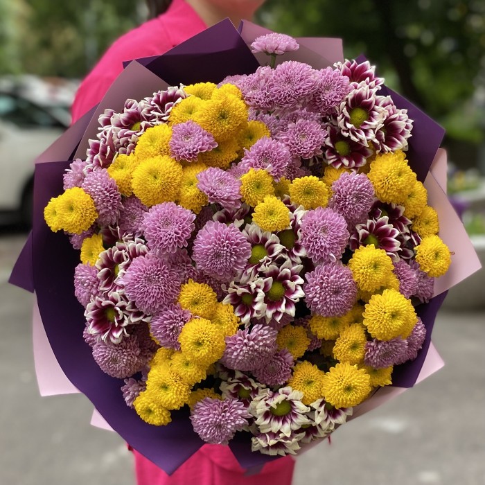 31 сиреневая и желтая хризантема Сантини