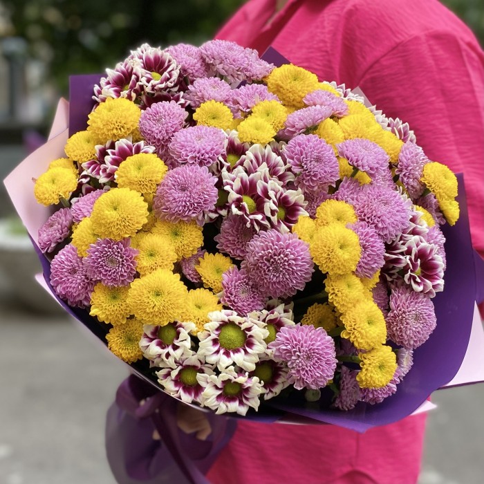 31 сиреневая и желтая хризантема Сантини
