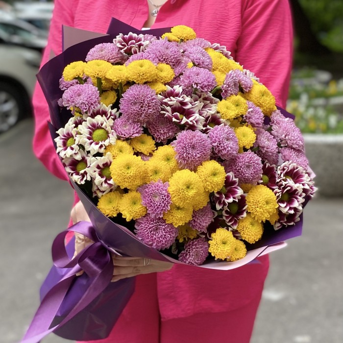 31 сиреневая и желтая хризантема Сантини