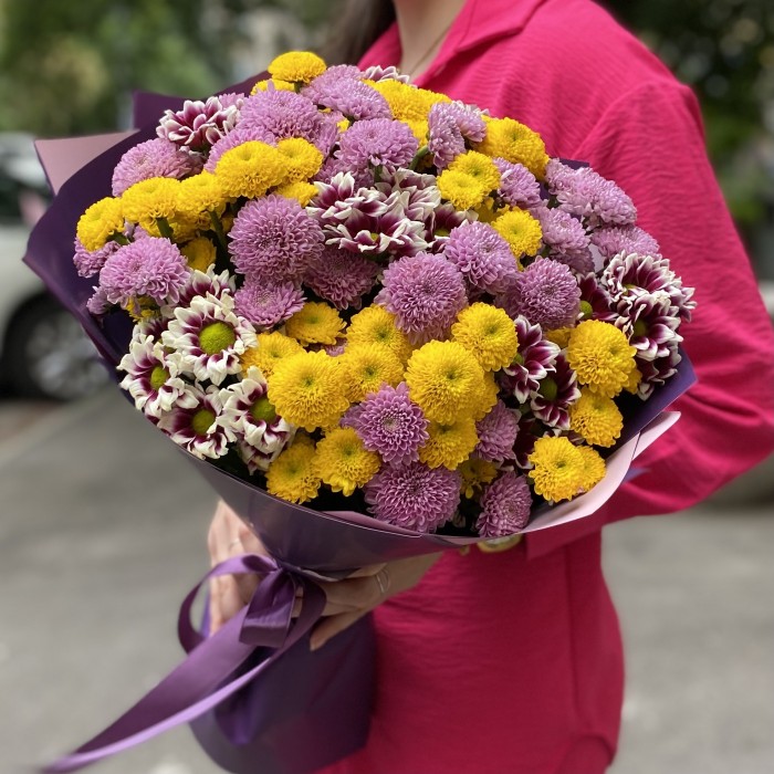 31 сиреневая и желтая хризантема Сантини