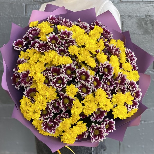 35 фиолетовых и желтых хризантем Сантини