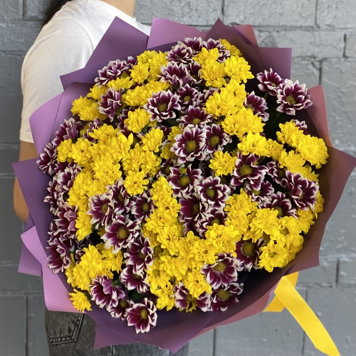 35 фиолетовых и желтых хризантем Сантини