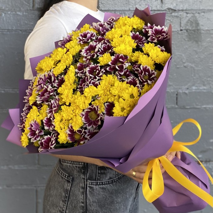 35 фиолетовых и желтых хризантем Сантини