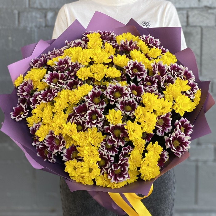 35 фиолетовых и желтых хризантем Сантини
