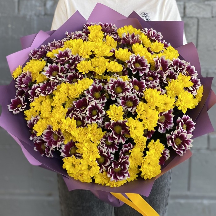 35 фиолетовых и желтых хризантем Сантини