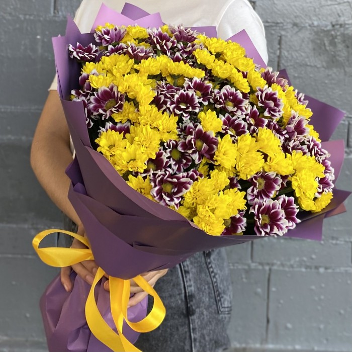 35 фиолетовых и желтых хризантем Сантини