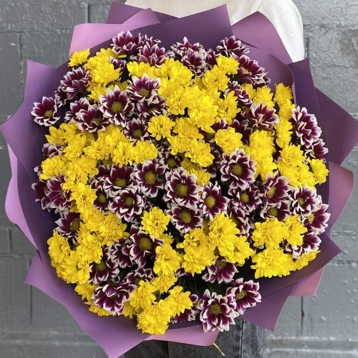 35 фиолетовых и желтых хризантем Сантини