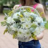 9 белых кустовых хризантем Балтика с солидаго в корзине