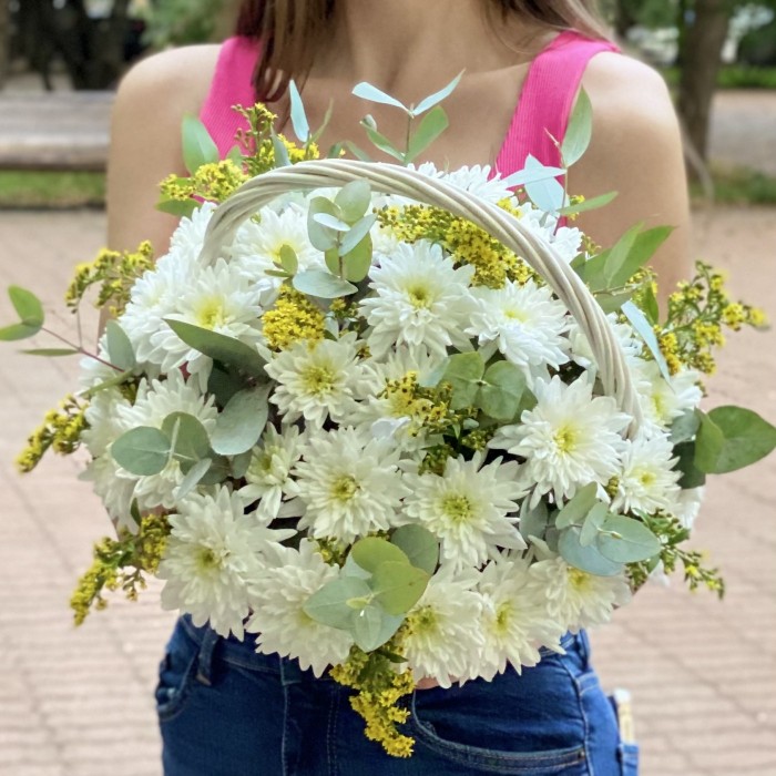 9 белых кустовых хризантем Балтика с солидаго в корзине