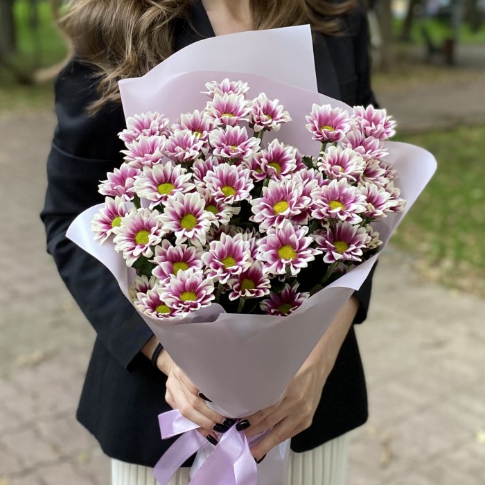9 кустовых хризантем Хайдар пинк