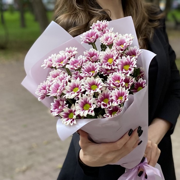 9 кустовых хризантем Хайдар пинк