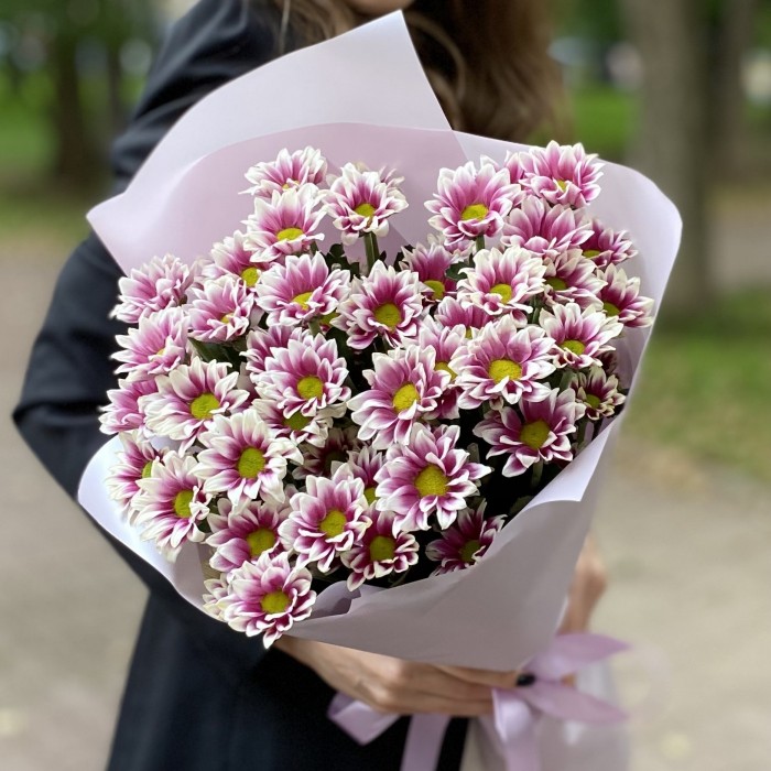 9 кустовых хризантем Хайдар пинк