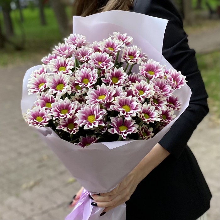 9 кустовых хризантем Хайдар пинк