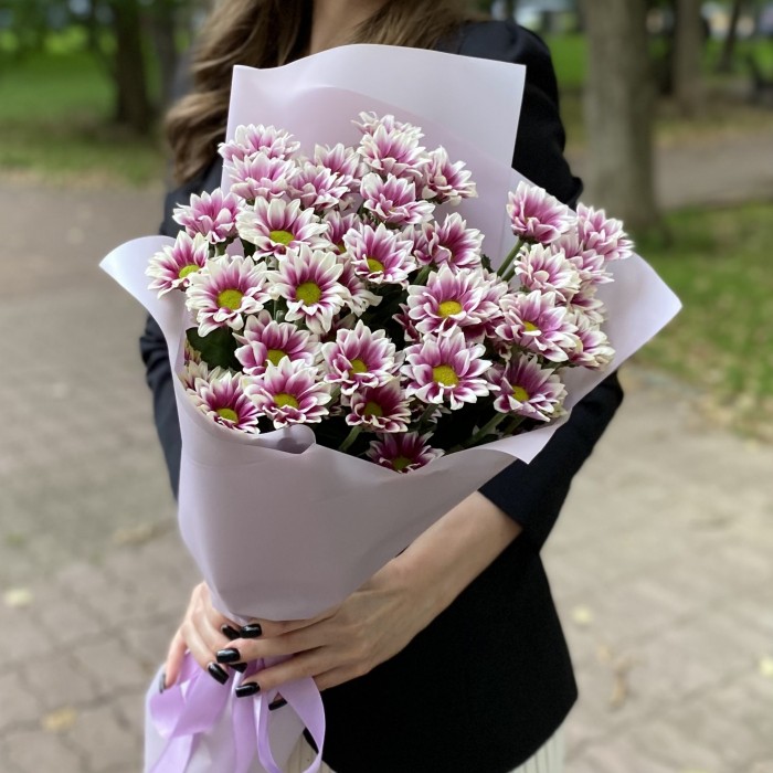 9 кустовых хризантем Хайдар пинк