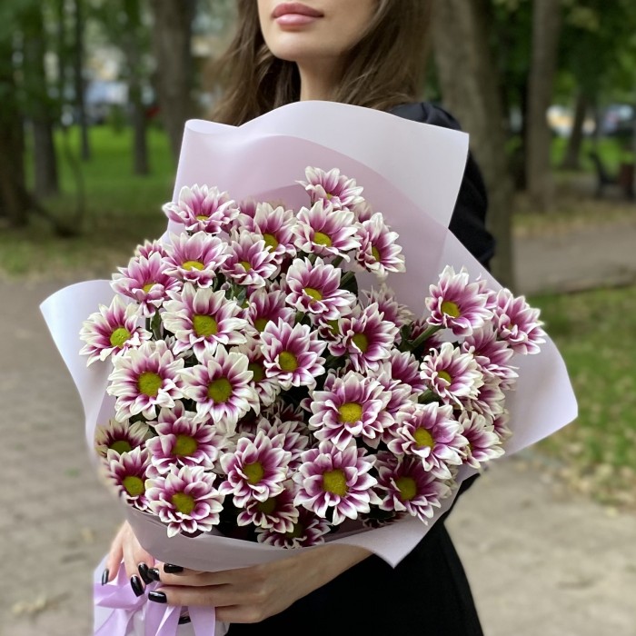 9 кустовых хризантем Хайдар пинк